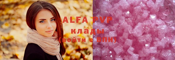 ECSTASY Богородицк
