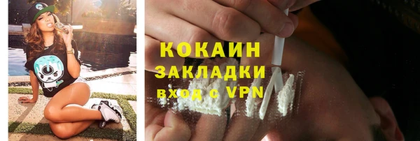 ECSTASY Богородицк