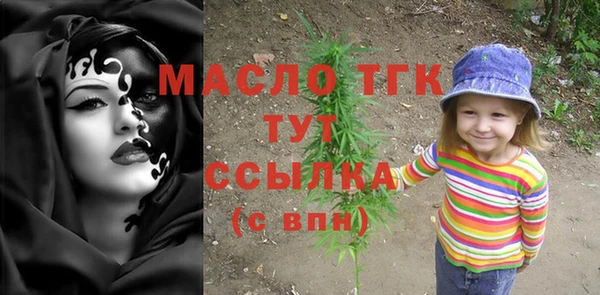 ECSTASY Богородицк