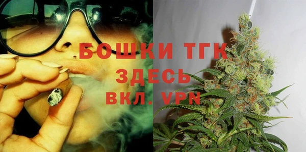 ECSTASY Богородицк