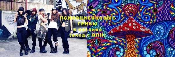 гашишное масло Богданович